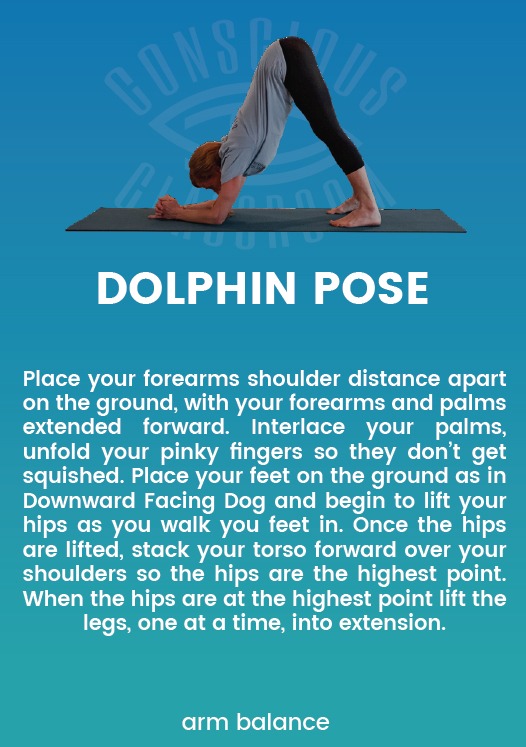 The Holistic Benefits of Dolphin Pose - DoYou