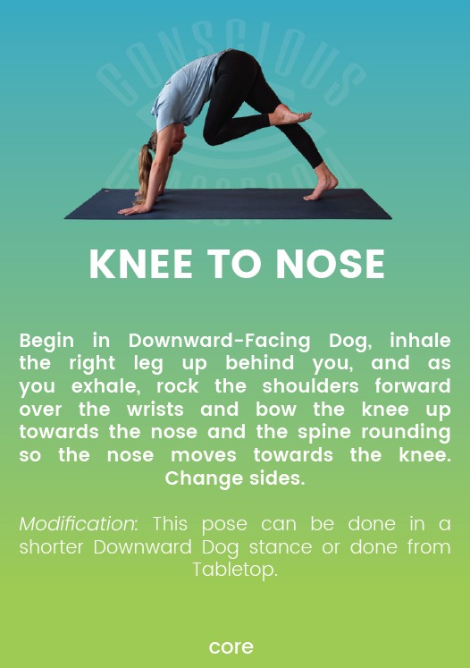 How to do: Plank - Yoga Pose Instructions | Destination Yoga